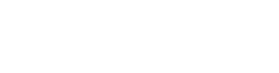 Ashley & Ace Cars